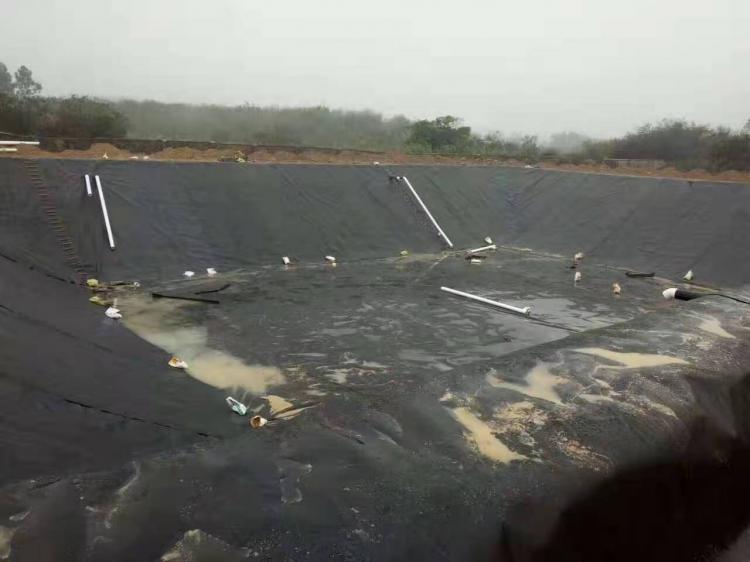 LDPE防滲土工膜價格 LDPE防滲土工膜價格