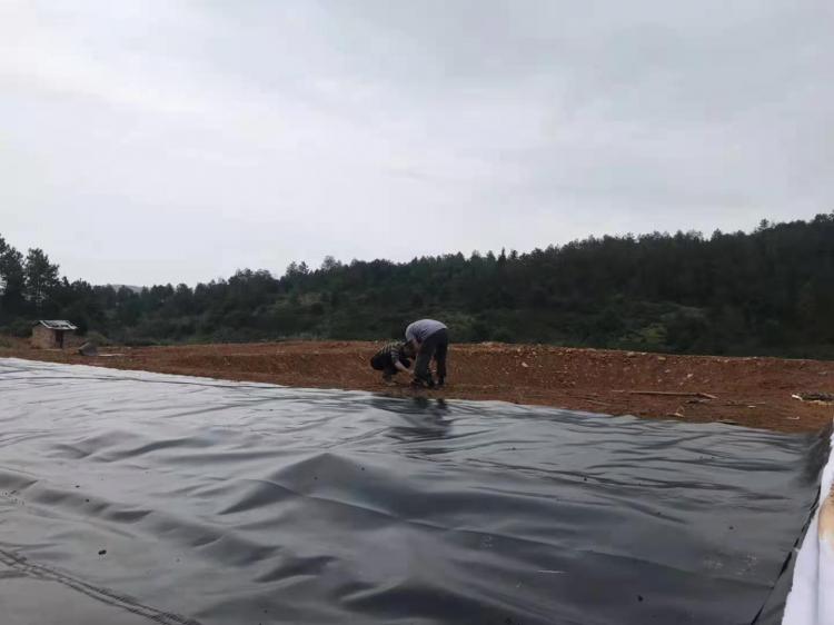 LDPE防滲土工膜價(jià)格 LDPE防滲土工膜價(jià)格