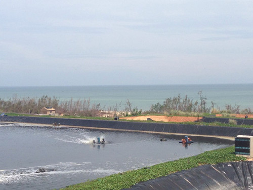 HDPE土工膜 HDPE土工膜